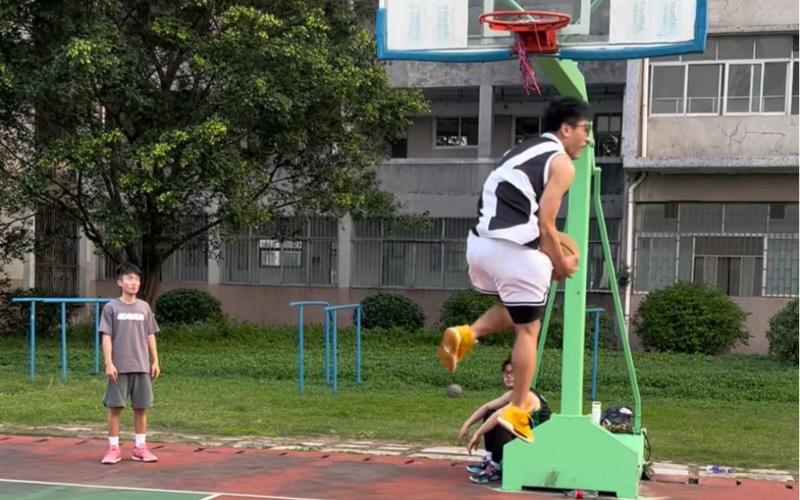 形成了鲜明